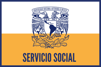 Servicio Social